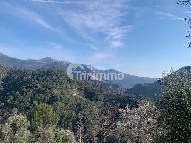 Vente L'Escarène Viager occupé Maison avec terrain
