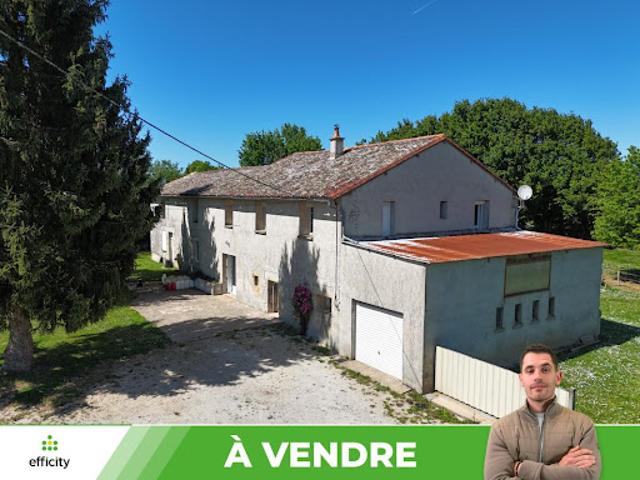 Vente Maison 6 pièces 162.5 m2 Blanzay