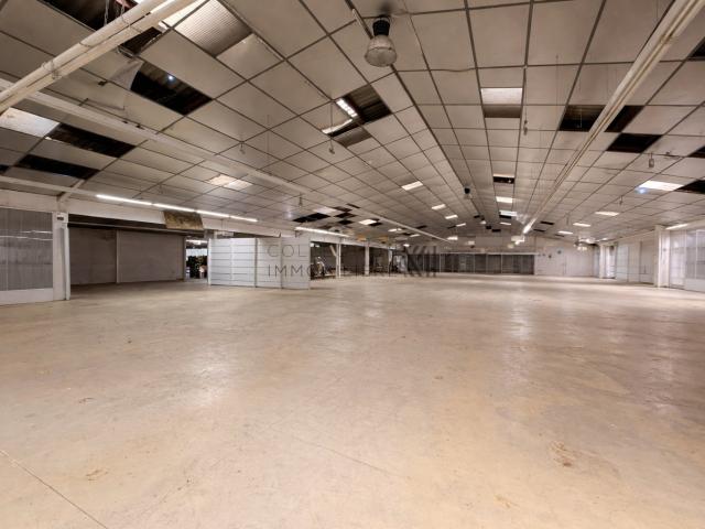 VENTE LOCAL D'ACTIVITÉ DE 3 000m2 AUCH