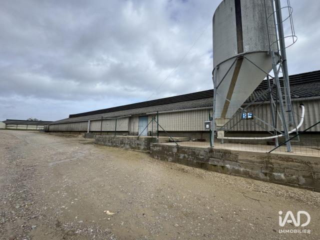 Vente Local d'activités 2 250 m²