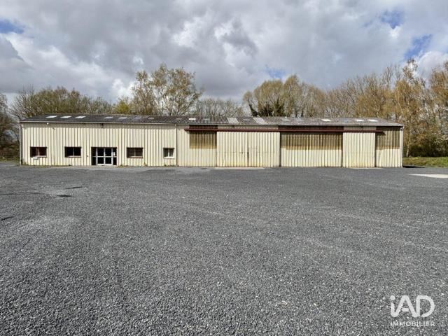 Vente Local d'activités 440 m²