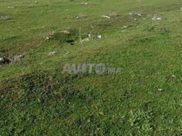 Vente lot terrain villa 455m2 au valon kenitra