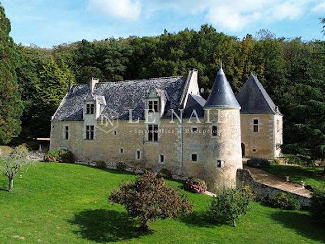 Vente Manoir 18 pièces 304.72 m2 Le Mans