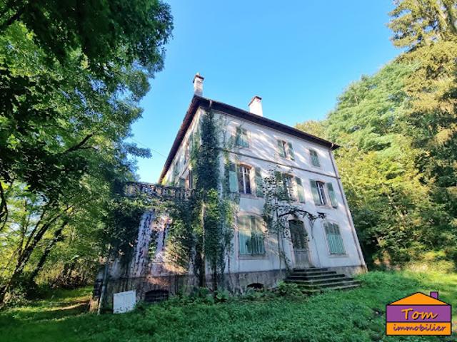 Vente Manoir 20 pièces 600 m2 Moussey