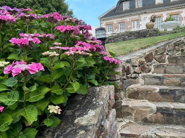 Vente Maison/villa 10 pièces