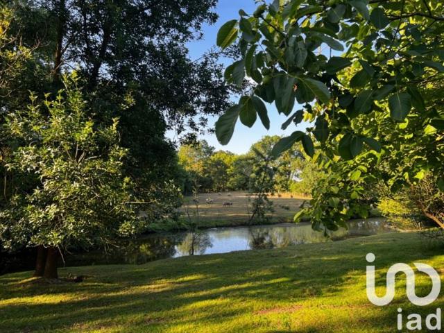 Vente Maison/villa 10 pièces