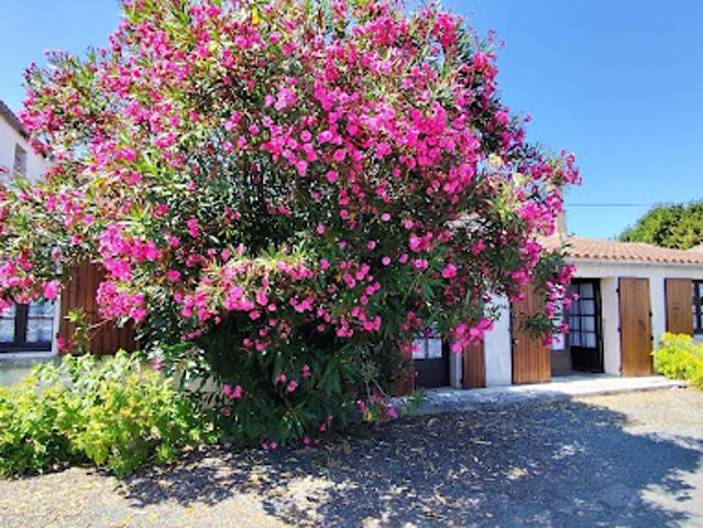 Vente Maison 3 pièces 100 m2 Saint Denis d'Oléron