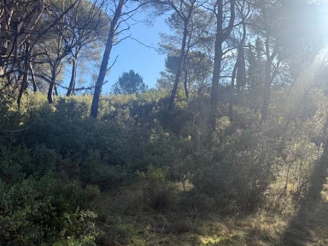 Vente Maison 3 pièces 100 m2 Ventabren