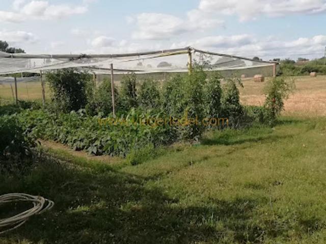Vente Maison 3 pièces 116.64 m2 Montbeton