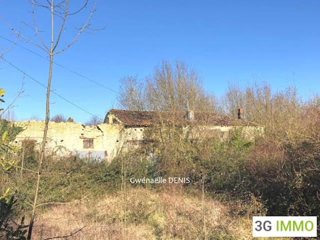 Vente Maison 3 pièces 250 m2 Paizay le Chapt