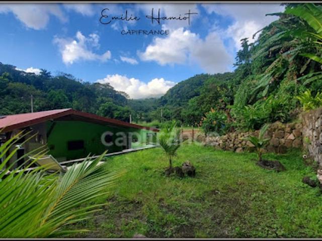 Vente Maison 3 pièces 50 m2 Saint Pierre