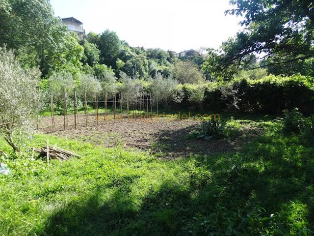 Vente Maison 3 pièces 55 m2 Les Aires
