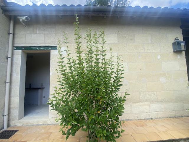 Vente Maison 3 pièces 64 m2 Arveyres