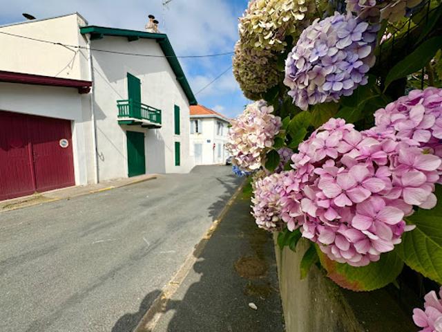 Vente Maison 3 pièces 87 m2 Biarritz
