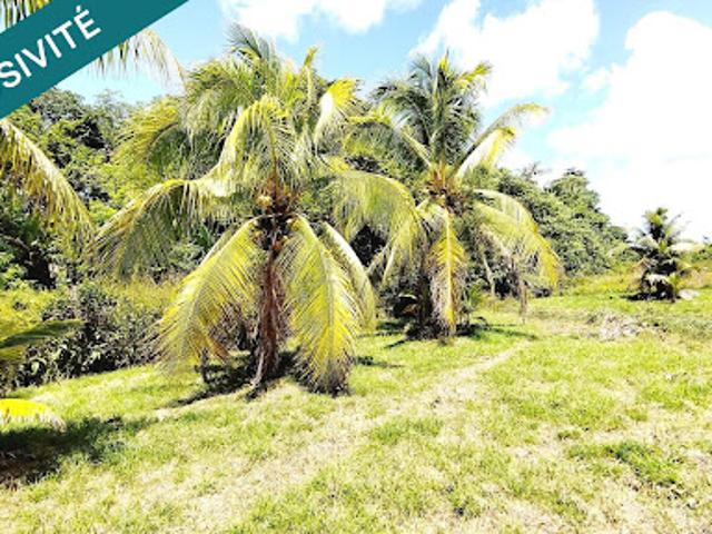 Vente Maison 3 pièces 88 m2 Matoury