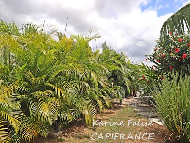 Vente Maison 3 pièces 90 m2 Riviere salee