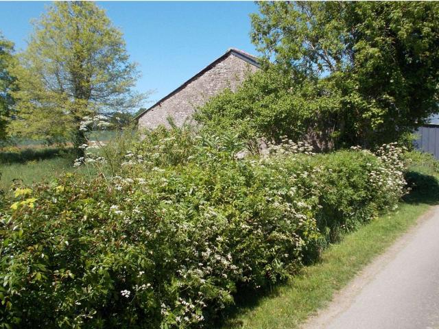 Vente maison 3 pièces Carquefou 44