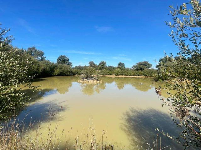 Vente maison 3 pièces Grosbreuil 85