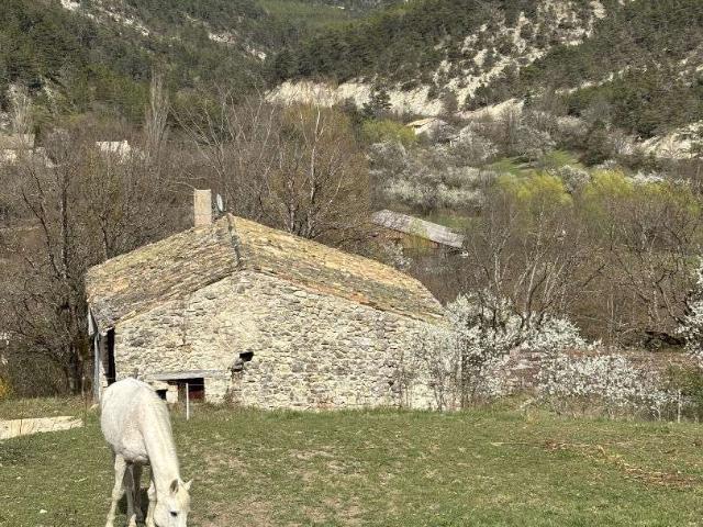 Vente maison 3 pièces Establet 26
