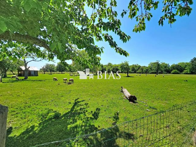 Vente maison 3 pièces Jumièges 76