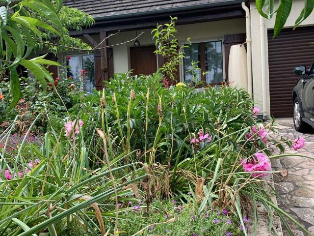 Vente maison 3 pièces Laval 53