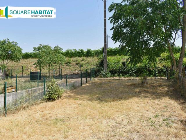 Vente maison 3 pièces Montsoreau 49