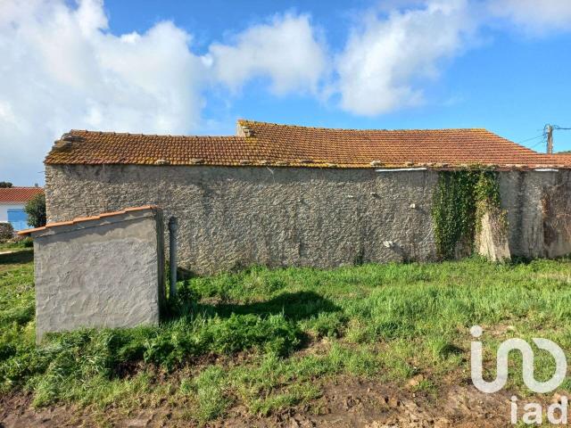 Vente maison 3 pièces Saint Georges d'Oléron 17