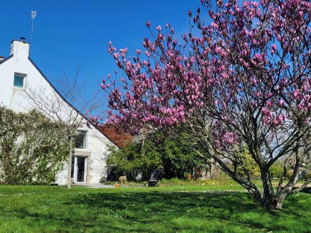 Vente maison 3 pièces Saint Nolff 56