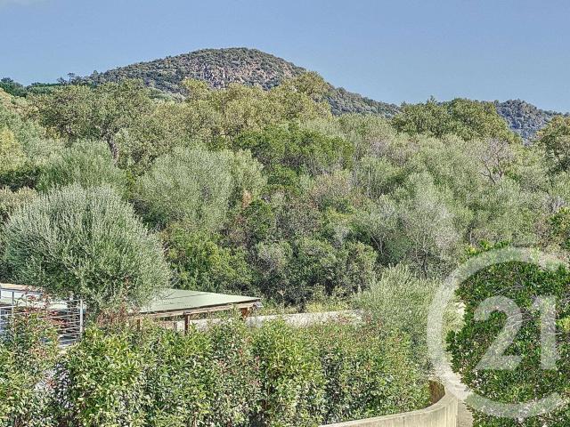 Vente maison 3 pièces Zonza 20