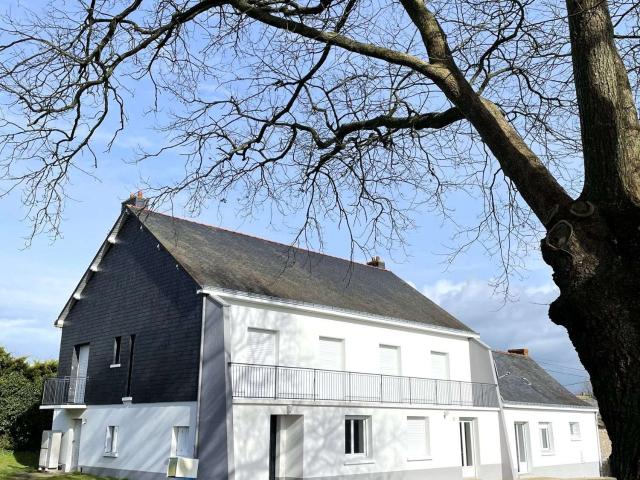 Vente maison 10 pièces Mésanger 44