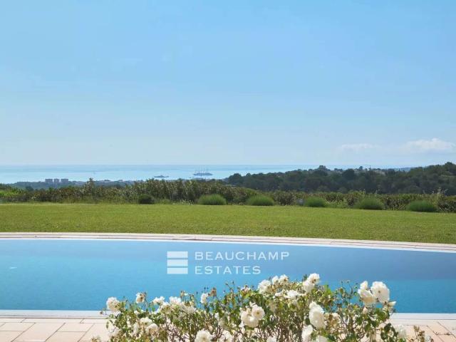 Vente maison 10 pièces Biot 06