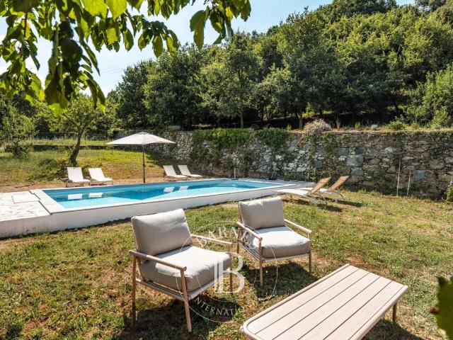 Vente maison 10 pièces Casta 20