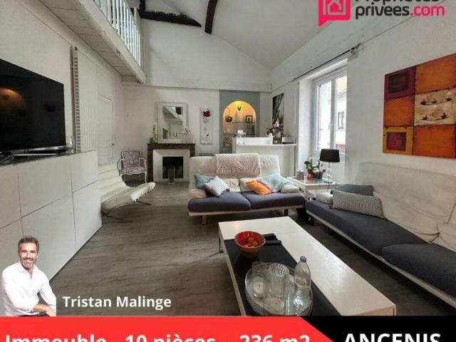 Vente maison 10 pièces Saint Géréon 44