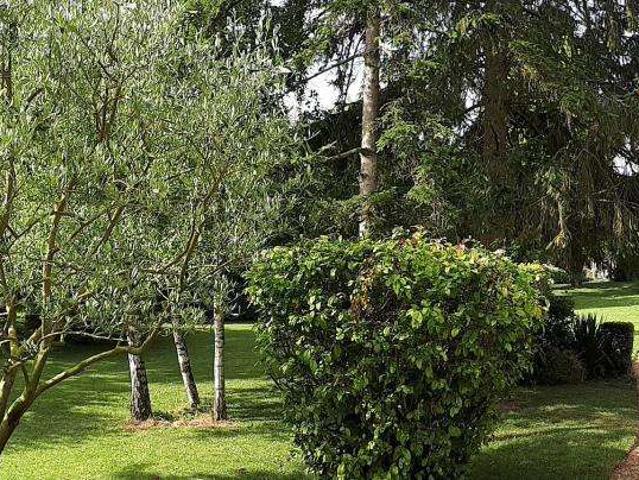 Vente maison 10 pièces Saumur 49