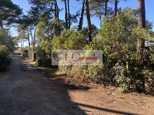 Vente Maison 10 pièces 160 m2 Lège Cap Ferret