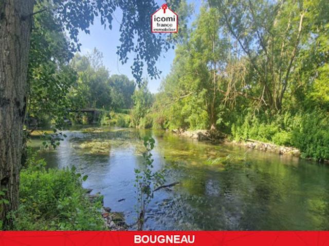 Vente Maison 10 pièces 1000 m2 Bougneau