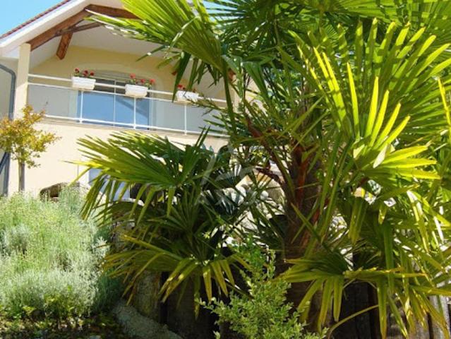 Vente Maison 10 pièces 240 m2 Jurançon
