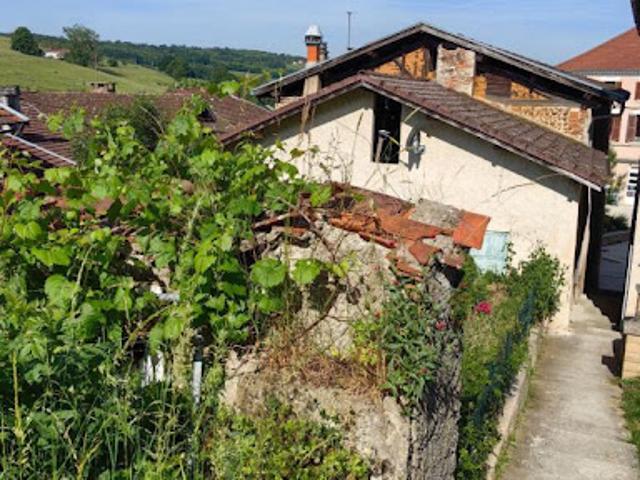Vente Maison 10 pièces 250 m2 Roybon