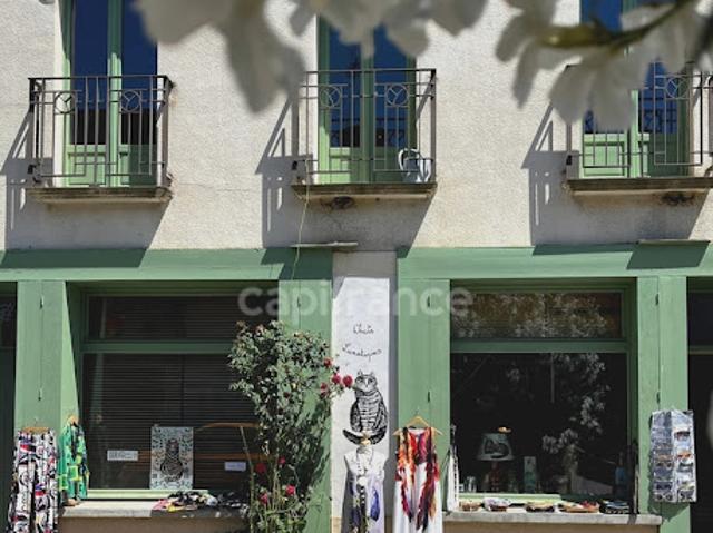 Vente Maison 10 pièces 270 m2 Bassoues