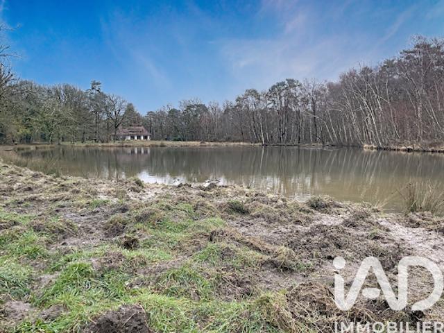 Vente Maison 10 pièces 280 m2 Lamotte Beuvron