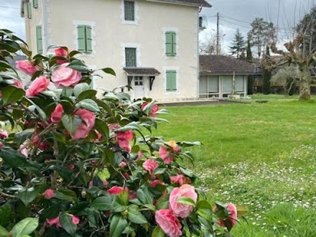 Vente Maison 10 pièces 285 m2 Hagetmau