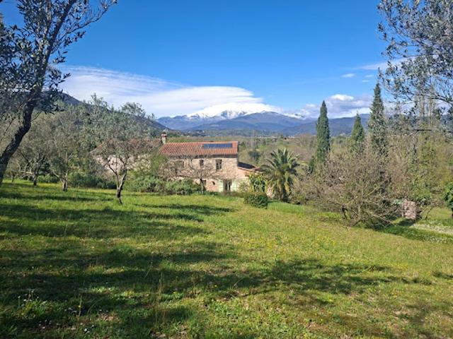 Vente Maison 10 pièces 290 m2 Ceret