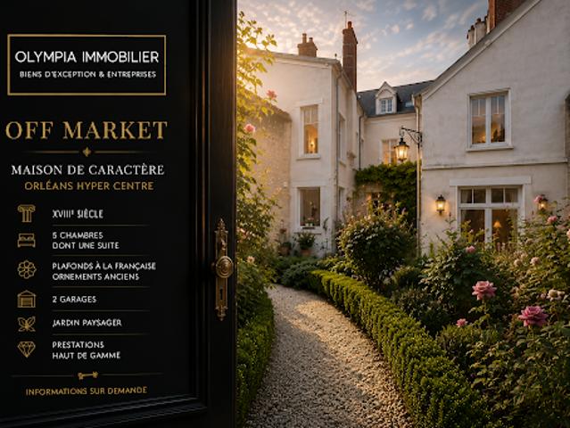Vente Maison 10 pièces 294 m2 Orleans