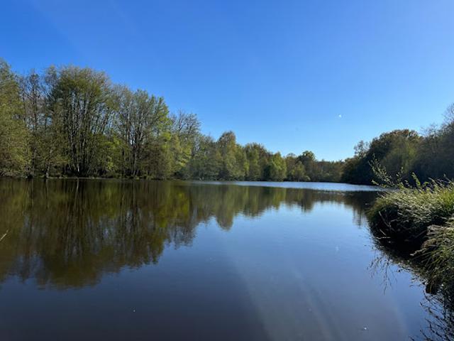 Vente Maison 10 pièces 200 m2 Montereau