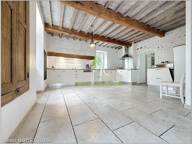 Vente Maison 10 pièces 219.11 m2 Sauvagnon