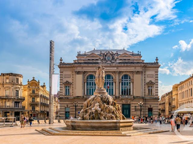 Vente Maison 10 pièces 233.97 m2 Montpellier