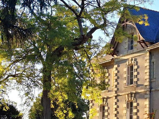 Vente Maison 10 pièces 350 m2 Coteaux sur Loire