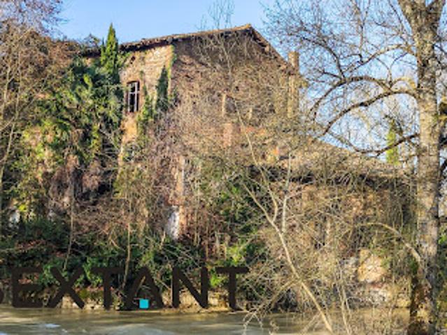Vente Maison 10 pièces 350 m2 Larrazet