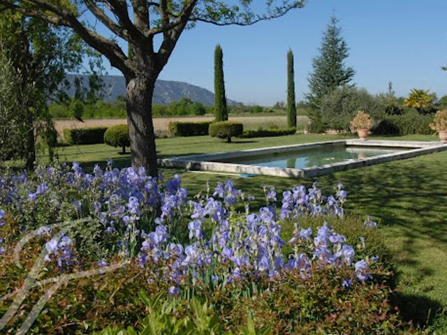 Vente Maison 10 pièces 397 m2 Cabrières d'Avignon
