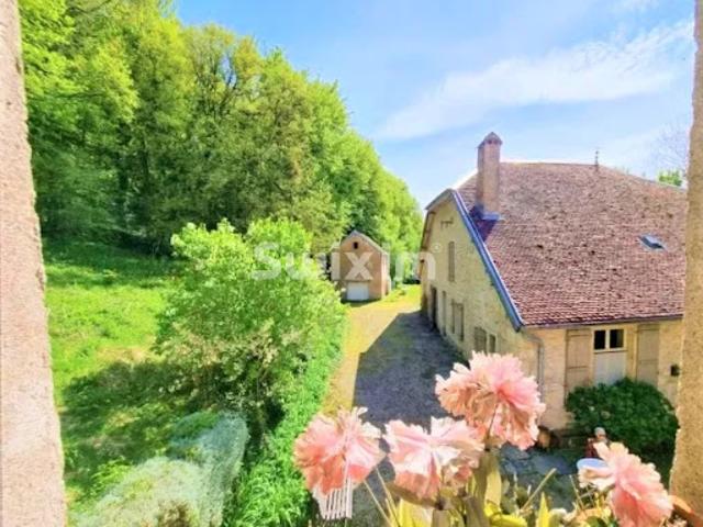 Vente Maison 10 pièces 310 m2 Rougemont
